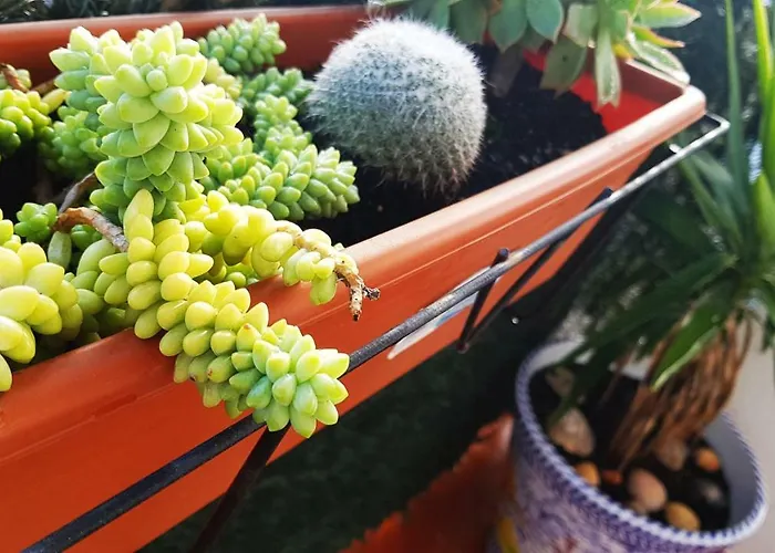 El Desvan Escondido * Conil De La Frontera