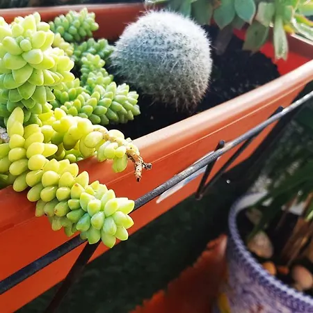 El Desvan Escondido * קוניל דה לה פרונטרה